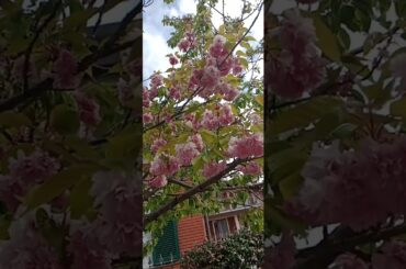 Pasquetta in famiglia