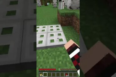 Cooking The Italian Way