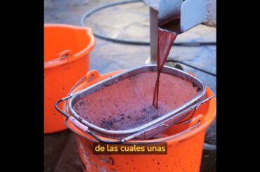 Curiosidades del vino Italiano