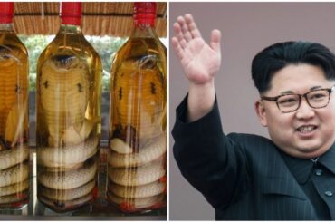 Expensive Cheese To Snake Wine | You Won't Believe What North Korea's Kim Jong Un Eats!