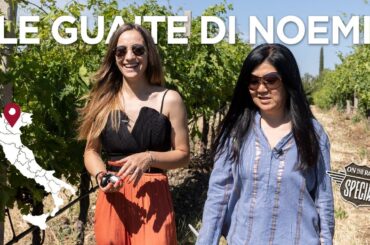 Italian winery travel! Noemi Pizzighella Teaser at her vineyard Le Guaite di Noemi, Verona