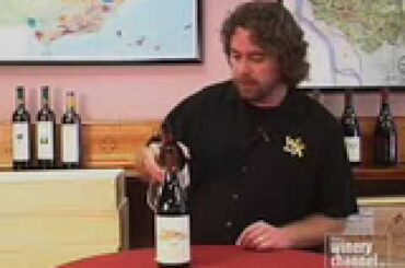 Wine Review - Italian Barbera Wines