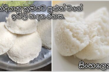 How Make Soft Idli In Sinhala | Idli Recipe | Jawa Food Corner
