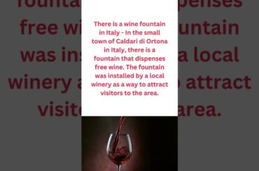 5 Interesting Wine Facts You Probably Didn't Know