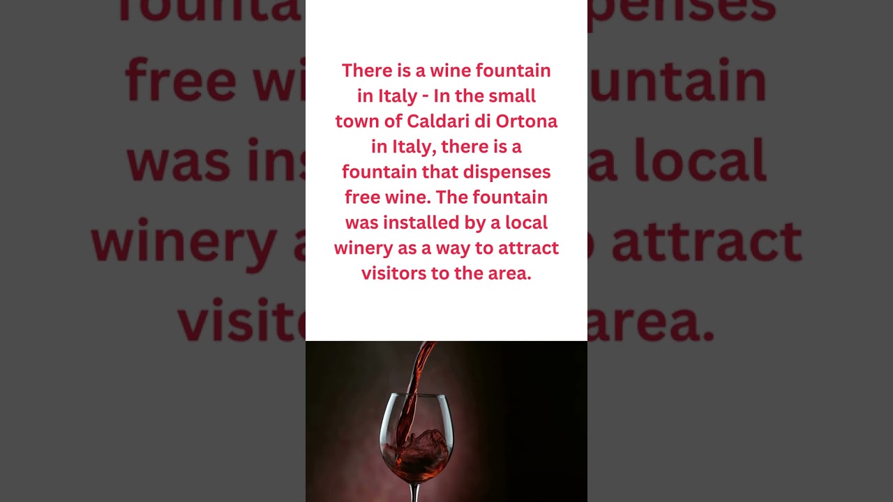 5 Interesting Wine Facts You Probably Didn’t Know 5 Interesting Wine Facts You Probably Didn't Know