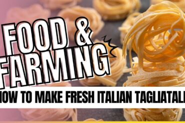 How To Make Fresh Italian Tagliatelle (in Tuscany!)
