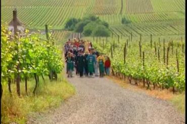 Discover the Art of Making Wine