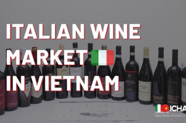 Italian Wine Market in Vietnam: How to Approach Effectively