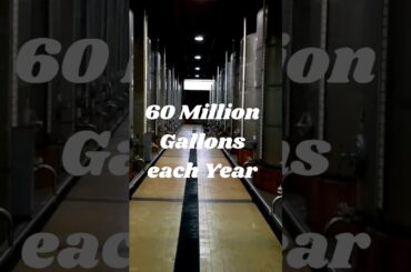 Fun Facts Of Italy #funfacts #shorts #wine #italy #travel #travelitaly #tuscany