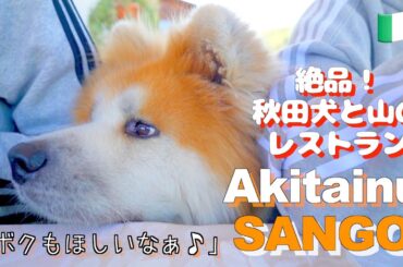 An all-you-can-eat-and-drink Italian mountain restaurant with Akita dog "SANGO"!