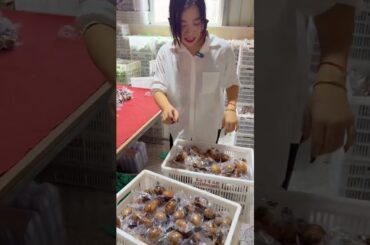 Asian street food | Amazing Creativity idea #4127