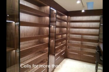 A wine room for a true connoisseur of wine with large ombitions
