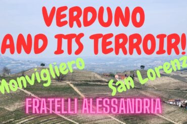 Piedmont Wines | FRATELLI ALESSANDRIA | Visit to the VINEYARD along river TANARO