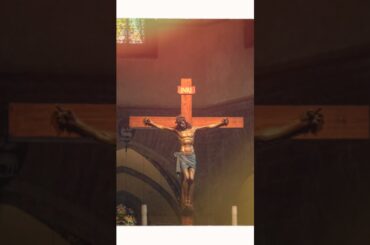 Our Italian Adventure Part 2: Florence #shorts #youtubeshorts #florence #italy#acienthistory #travel