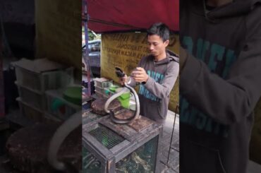 Live King Cobra Snake Eating of Indonesia #shorts