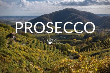 Explaining PROSECCO WINE; Why Not All Proseccos Are Alike.