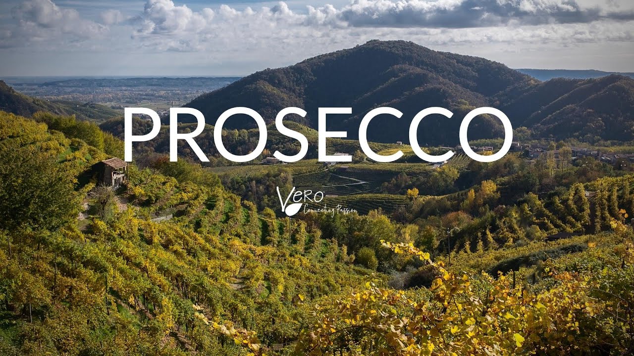 Explaining PROSECCO WINE; Why Not All Proseccos Are Alike. Explaining PROSECCO WINE; Why Not All Proseccos Are Alike.