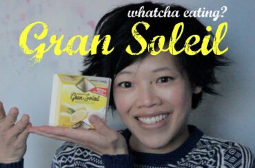 Gran Soleil Lemon Frozen Dessert: Whatcha Eating? #92