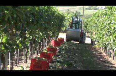 Virtual Tour Abrigo Giovanni Winery - Piedmont - Italy