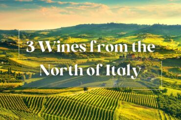 Sommelier Pick: 3 Wines from the North of Italy