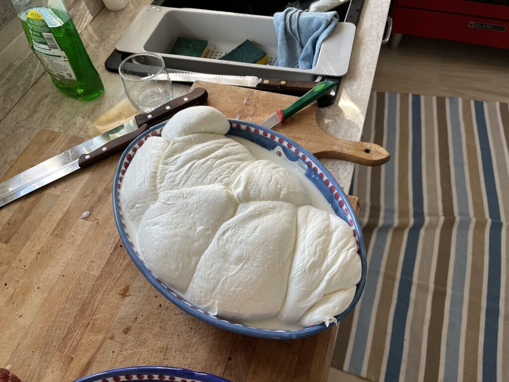 Treccia di bufala (5Kg)