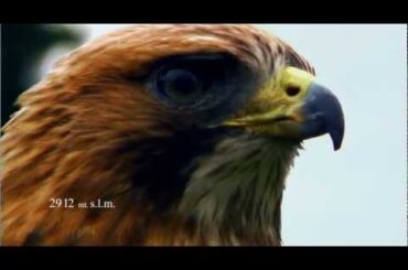 A Montepulciano d'Abruzzo pleasure. Wine made in Italy