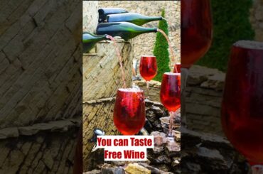 Italy has a free, public wine fountain #italy #pind2paris