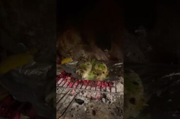 Cooking fish in the fireplace in southern Italy #shorts