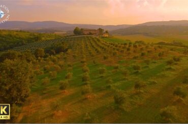 Relaxing Piano Music and Vineyard Views | Wine Music, Wine Country