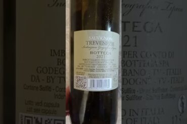 Vini Veneti