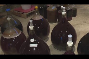 'Only grapes': Oregon winery offers 'natural' wine