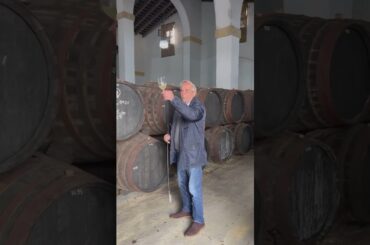 Italy wine #shorts #wine #italy