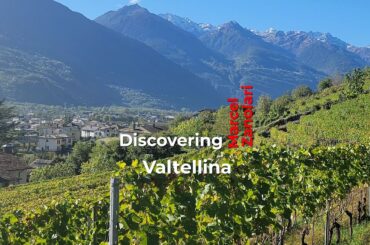 Valtellina Valley Italy, a Bio dynamic winery featuring Marcel Zanolari