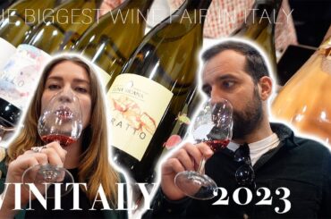 VINITALY 2023 | The largest wine fair in Italy | WINE TASTING | Famous Italian Wine