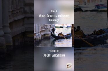 Experience Italy's Finest: Wine, History, and Tradition #shorts #italy #wine #history #venice