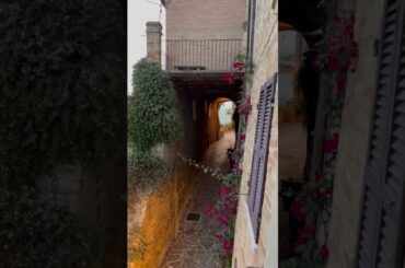 What Are Your Summer Vacation Plans? This Molise Italy 7-day Cooking Tour & Trip to Tremiti Island