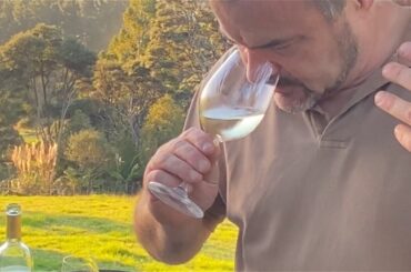 Wine Review: Santa Margherita Valdadige Pinot Grigio 2019