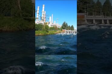 Italy travel vlog   #italy  #shorts#shortstravel#travelvlog#shortsviral #trending