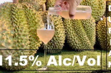 Homemade DURIAN WINE