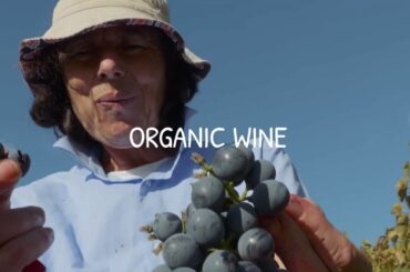 Meet ZIOBAFFA Oranic Italian Wines