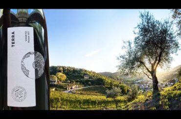 Contra Soarda’s ‘Terra’ - Europe’s 1st (overtly) carbon negative wine from N. Italy
