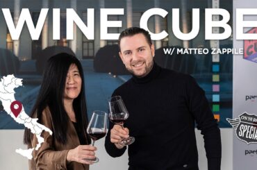 When in Rome, talk to a top Sommelier about wine (Partesa for Wine interview with Matteo Zappile)