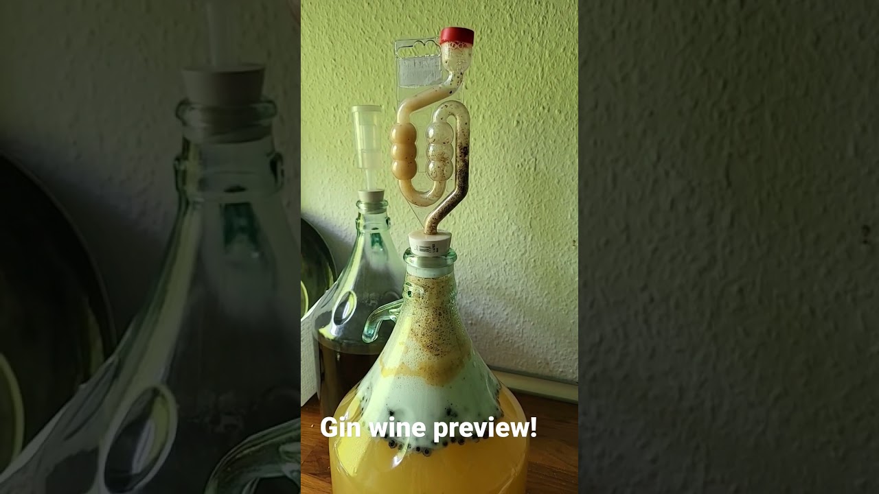 Gin wine teaser #shorts Gin wine teaser #shorts