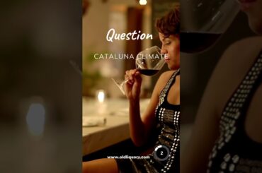 WSET Exam Preparation Flashcard - Wine Regions of the World