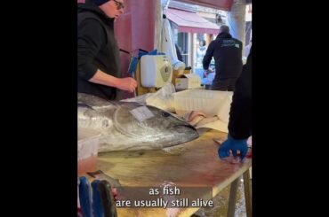 Watching the Fishermen at the Rialto Fish Market in Venice, Italy