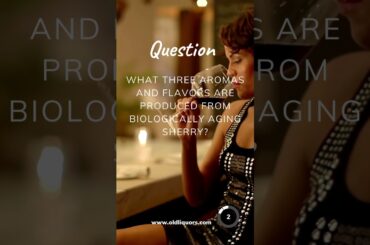 WSET Exam Preparation Flashcard - Wine Regions of the World