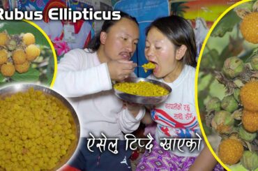 Rubus ellipticus (Aiselu) fruit Picking & eating in my Village || Our village fruits Aiselu mukbang