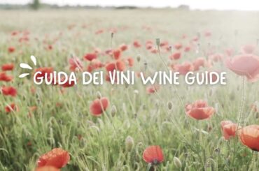 Italian Wines