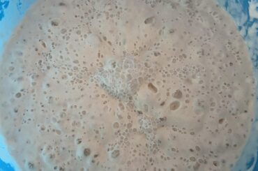 Poolish and Biga homemade pizzas ! Greetings fron Greece !