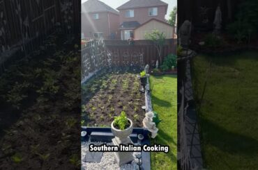 Where The Magic Starts #shorts